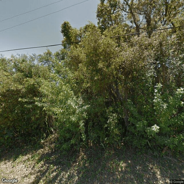 street view of Royal Care of Avon Park