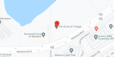 The Grove at Trelago in google map
