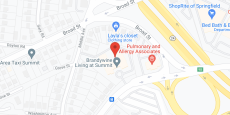 Brandywine at Summit in google map