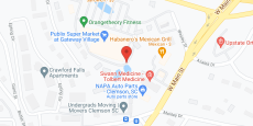Everlan of Clemson in google map