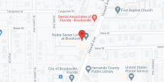 Elevated Estates of Brooksville in google map
