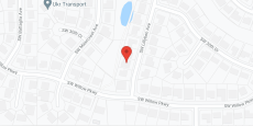 Lillyben Adult Care in google map
