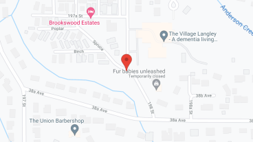 The Village Langley in google map