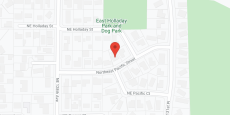 Corina's AFCH in google map