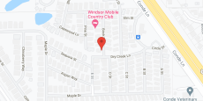 Vintage Greens Senior Care in google map