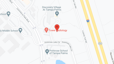 Discovery Village at Tampa Palms in google map