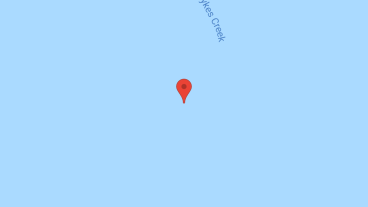 Love at Orchid Isle in google map
