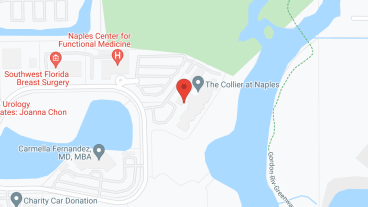 The Collier at Naples in google map