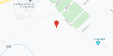 Changing Seasons of Castroville in google map