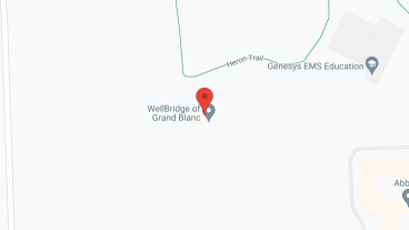 Wellbridge Of Grand Blanc in google map