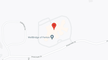 Wellbridge of Fenton in google map