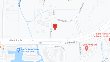 Amavida at Lakes Park in google map