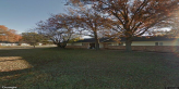 street view of TrustedKare
