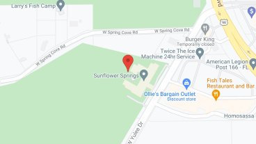 Sunflower Springs LLC in google map