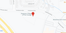 Seagrass Village of Port Orange in google map