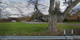 street view of Shady Rest of Pittsburgh