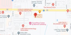 Vista Lake in google map