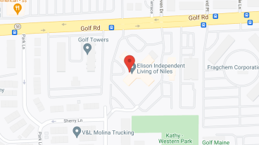 Elison of Niles in google map