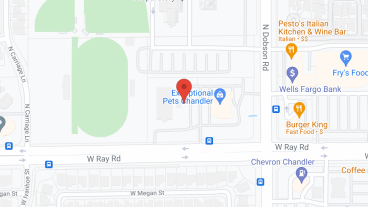 Cadence Chandler by Cogir in google map