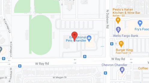 Map of the neighborhood around Cadence Chandler by Cogir