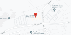 Spring Arbor of Albemarle in google map