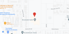 Brookdale Salem in google map