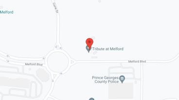 Tribute at Melford by Cogir in google map