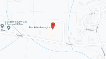 Brookdale Lexington in google map