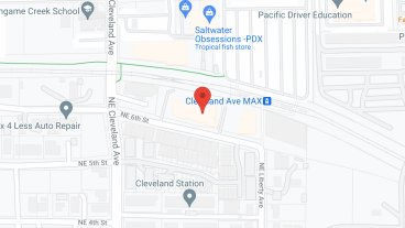 Avamere at Chestnut Lane in google map