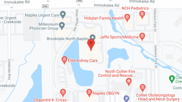 Brookdale North Naples in google map