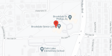Brookdale Dr. Phillips in google map