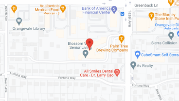 Blossom Vale Senior Living in google map