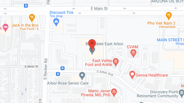 Brookdale East Arbor in google map