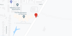 The Renaissance of Florence in google map
