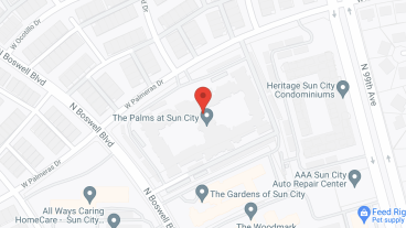 The Palms at Sun City in google map