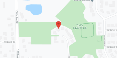 Golden Circle in google map
