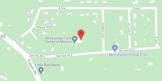 Ms Care Center Of Morton in google map