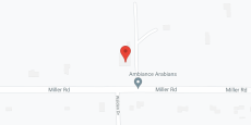 Swank Home Assisted Living in google map