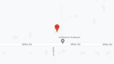 Swank Home Assisted Living in google map