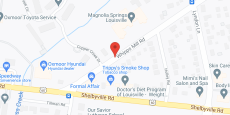 Magnolia Springs Louisville in google map