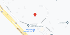 The Pinnacle On Schaeffer in google map