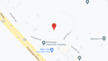The Pinnacle On Schaeffer in google map