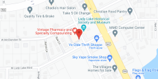 Elan Buena Vista in google map