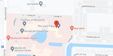The Levin Palace in google map