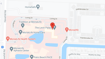 The Levin Palace in google map
