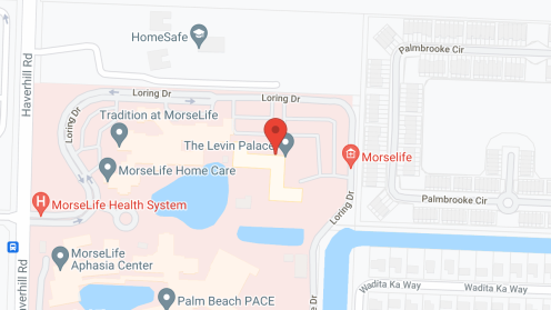 Map of the neighborhood around The Levin Palace