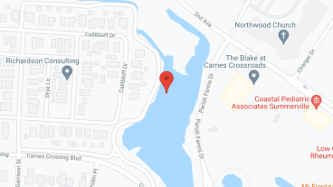 The Blake at Carnes Crossroads in google map