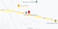 The Lakes at Jefferson in google map