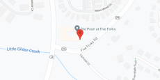 The Pearl at Five Forks in google map