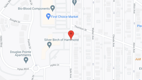 Map of the neighborhood around Silver Birch of Hammond